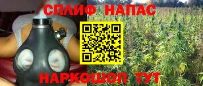 a pvp Аргун