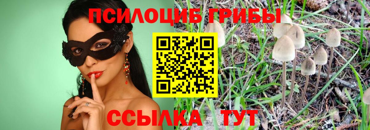 Галлюциногенные грибы MAGIC MUSHROOMS  Псилоцибиновые грибы прущие грибы  Балабаново  Вход с VPN 