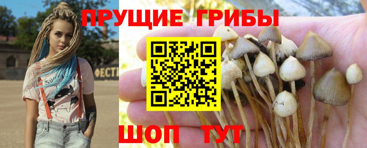 Галлюциногенные грибы Magic Shrooms Балабаново
